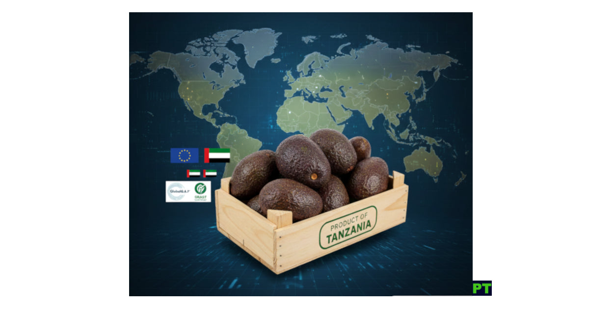 Picha ya Masoko ya Parachichi inayoonesha kikapu cha parachichi katika tenga au boksi la mbao, pembeni kuna bendera za Umoja wa Ulaya na Bendera ya nchi za Mashariki ya kati